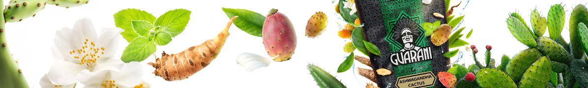 Baner yerba mate Guarani Ashwagandha Cactus – yerba mate z ashwagandhą i kaktusem