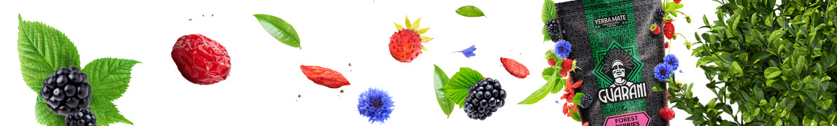 Baner yerba mate Guarani Forest Berries – yerba mate z owocami leśnymi