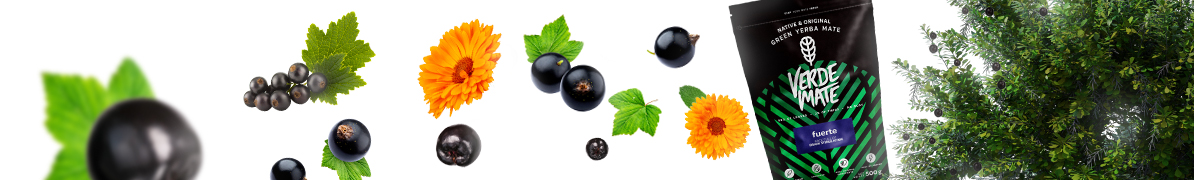 Baner Verde Mate Green Fuerte – mocna i intensywna yerba mate