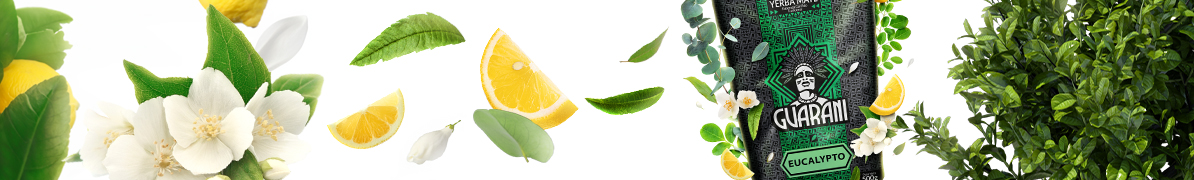Baner yerba mate Guarani Eucalypto – paragwajska yerba mate o smaku eukaliptusa i mięty