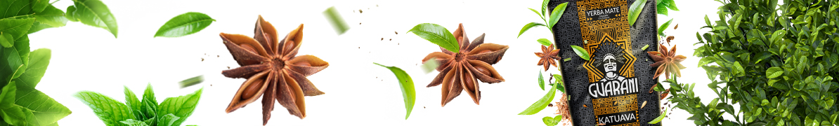 Baner yerba mate Guarani Katuava – yerba mate z dodatkiem katuavy