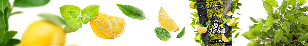Baner yerba mate Guarani Menta Limón – yerba mate z miętą i cytryną