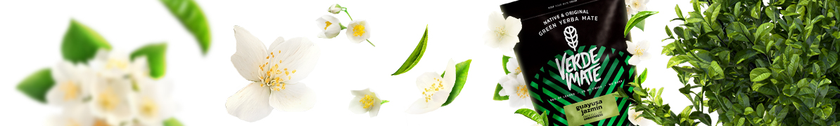 Baner Verde Mate Green Guayusa Jazmin – yerba mate, guayusa i kwiaty jaśminu