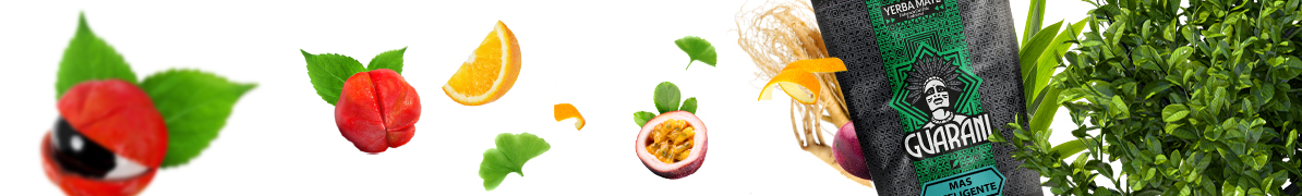 Baner yerba mate Guarani Mas Inteligente – yerba mate na koncentrację
