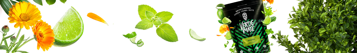 Baner Verde Mate Greem Mojito – yerba mate z miętą i limonką