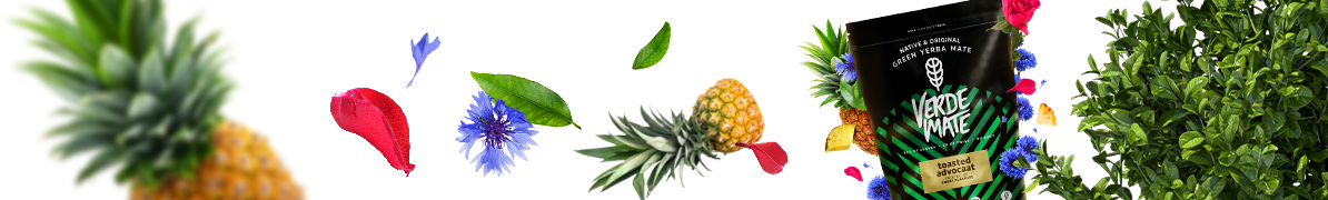 Baner Verde Mate Green Advocaat – yerba mate o deserowym smaku advocaat