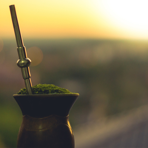 Kowboje z yerba mate