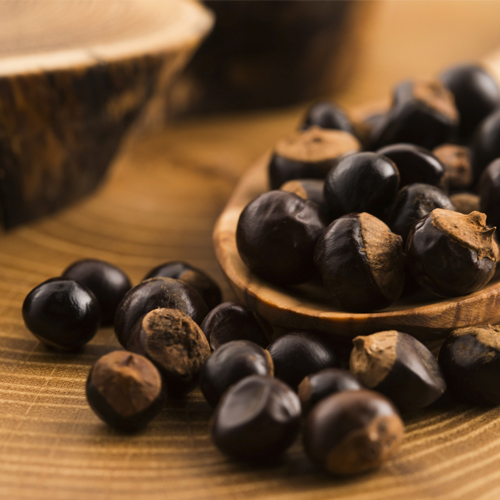 Guarana i yerba mate