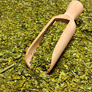 Yerba mate green