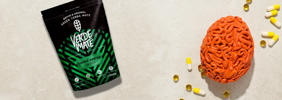 Yerba mate i zdrowie mózgu