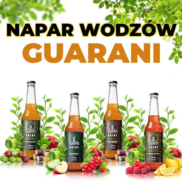 Napoje z yerba mate Fruit Drink Guarani – premiera