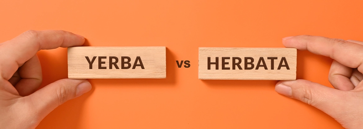 Yerba mate vs herbata