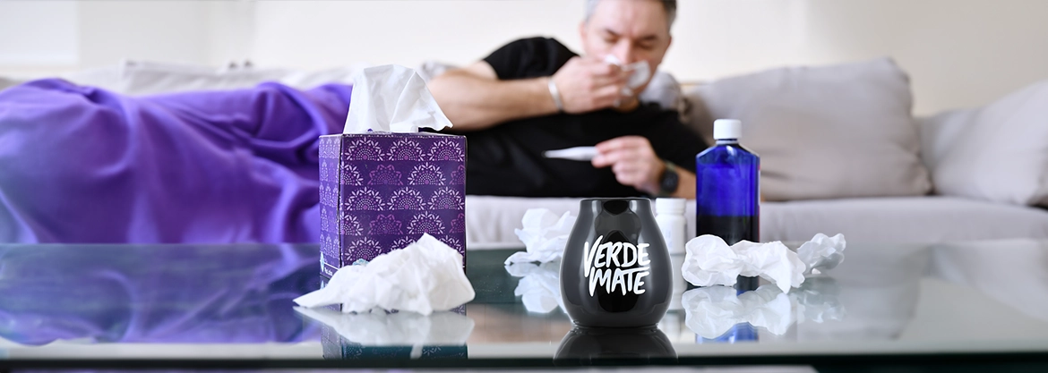 Yerba mate na przeziebięnie?