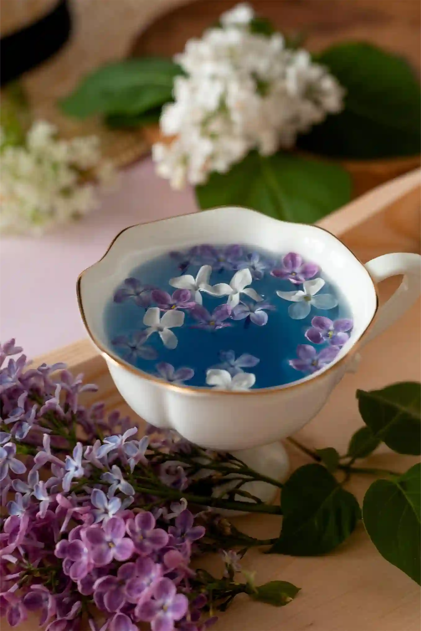 Butterfly Pea Tea