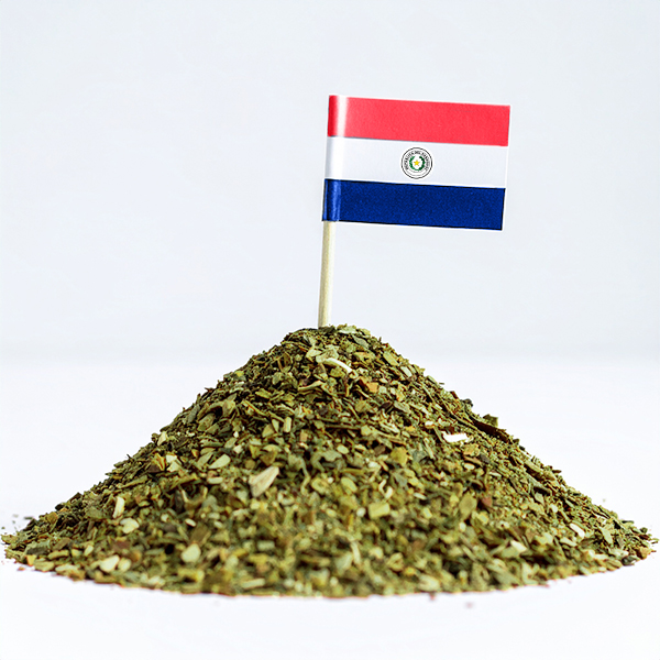 Yerba mate paragwajska