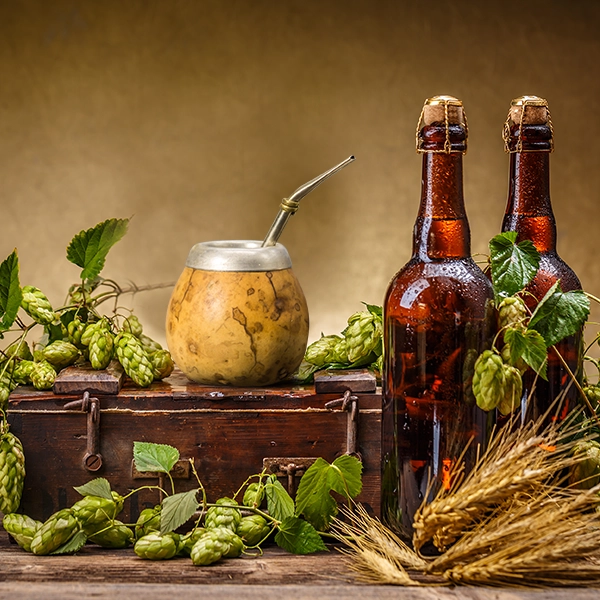 Yerba mate z piwem