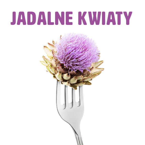 Jadalne kwiaty