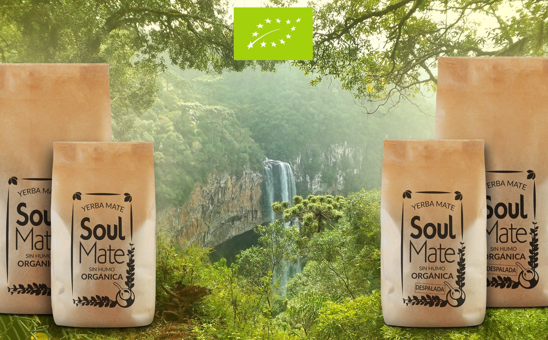Organiczna yerba mate — Soul Mate