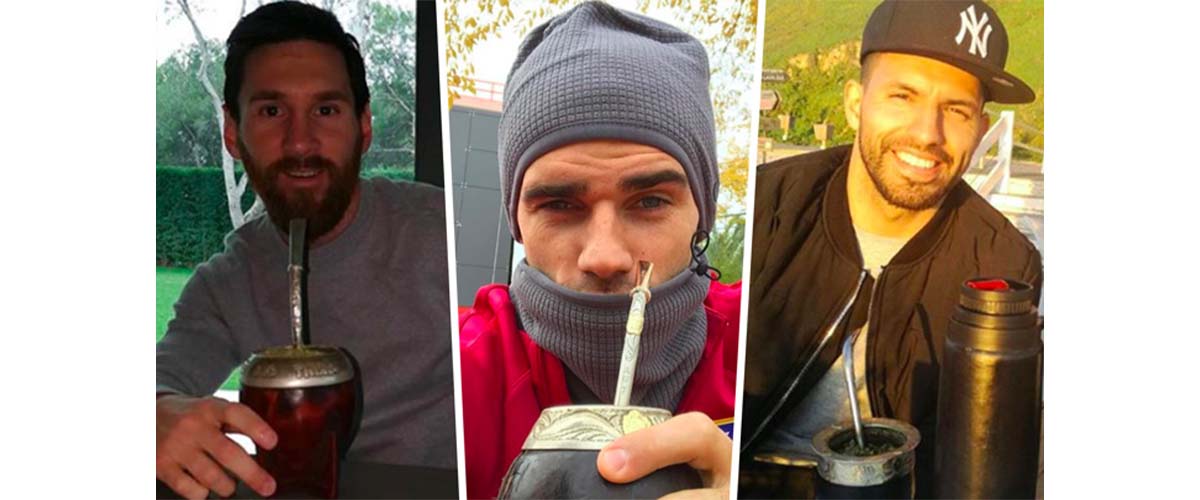 yerba mate i sport