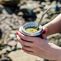 Celebryci, którzy są fanami yerba mate