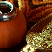 Cudowna Yerba Mate