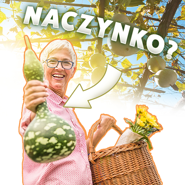Tykwa - dar natury o niejednym zastosowaniu