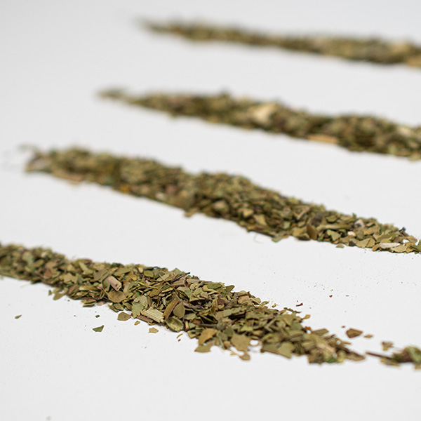 Yerba mate jak narkotyk?