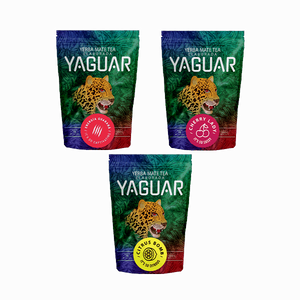 Trio yerba mate Yaguar na START dla początkujących