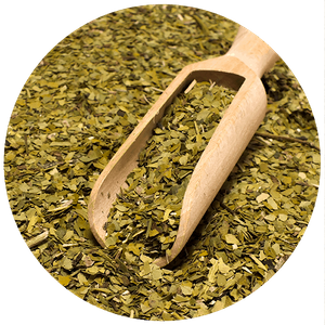 Yerbera – Puszka z Verde Mate Green Organica 0,5kg