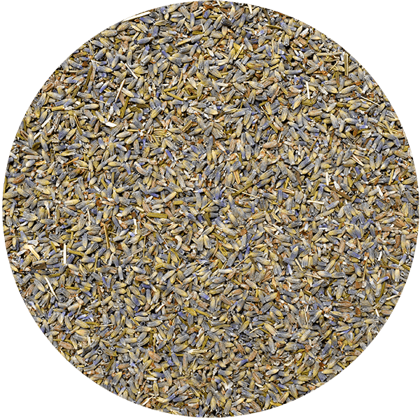Mary Rose – Lawenda 25 g – kwiat lawendy (ekologiczna)