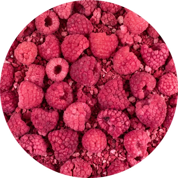 FiloLilo – Malina liofilizowana 100 g
