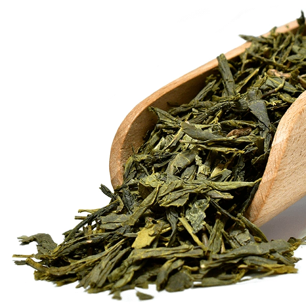 Przygotowanie herbaty Mary Rose Sencha