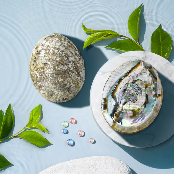 Zestaw do palenia kadzideł: muszla Abalone + drewniany stojak