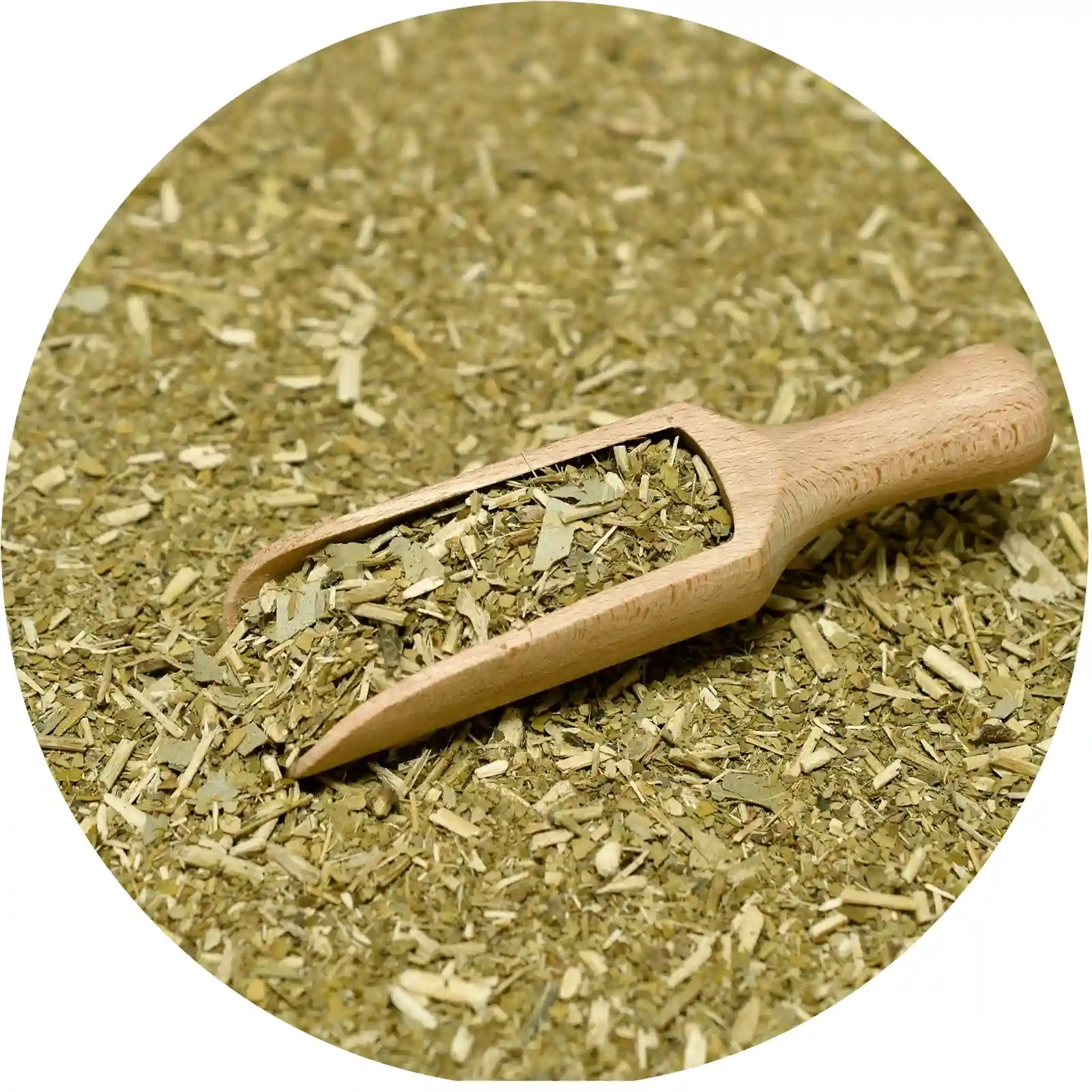 Guarani Eucalypto - detal suszu