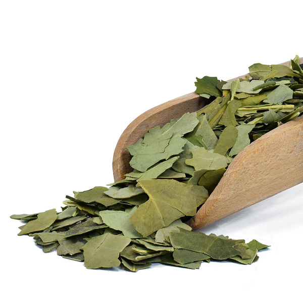 Verde Mate Green Premium Pure Despalada 200 g
