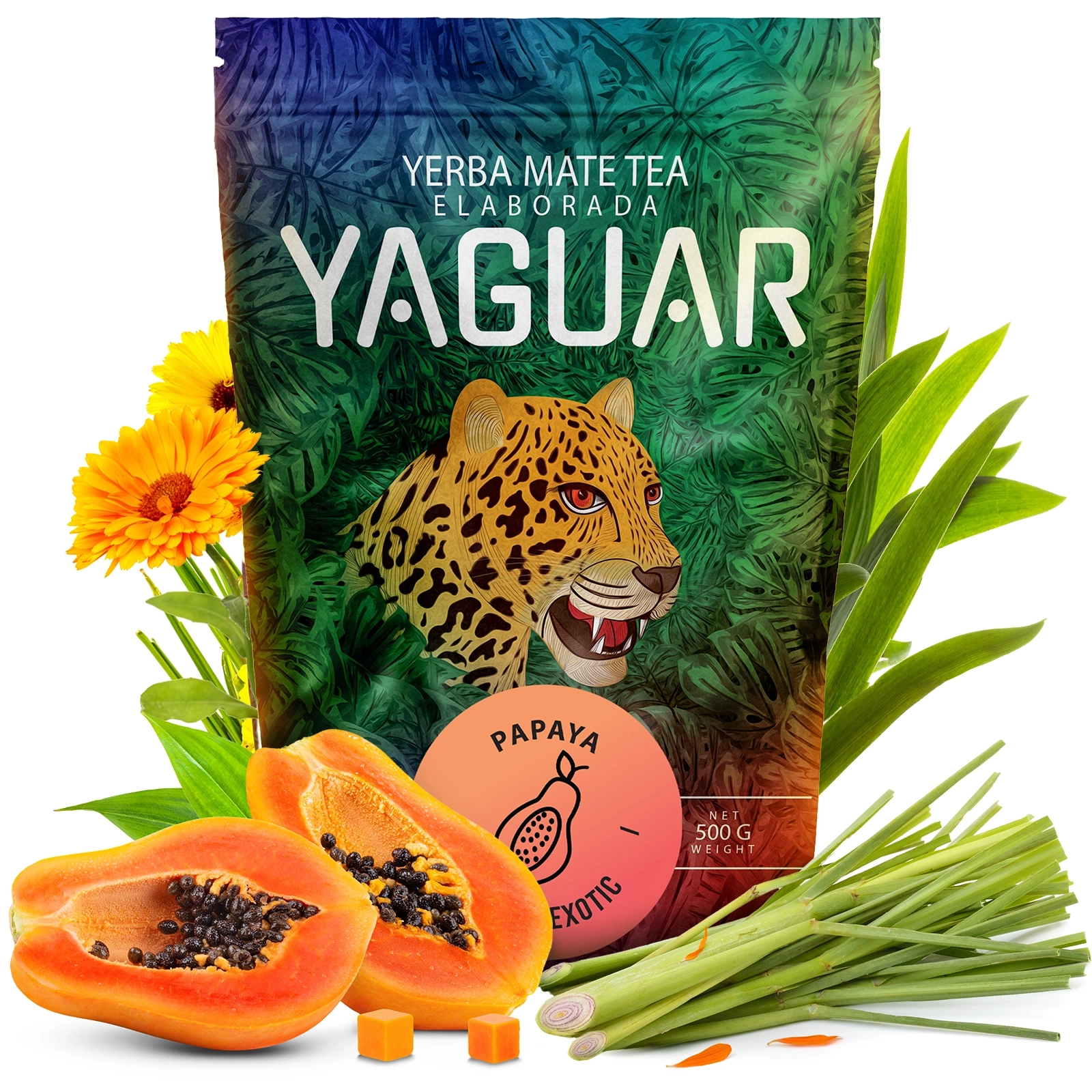 Yaguar Papaya - Zbliżenie