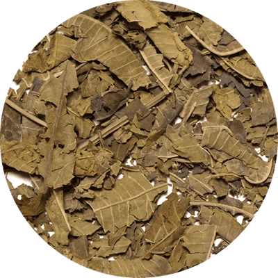 Vivarini – Werbena cytrynowa 25 g