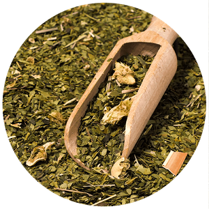 Zestaw Startowy do Yerba Mate Cactus Bombilla Matero 500g