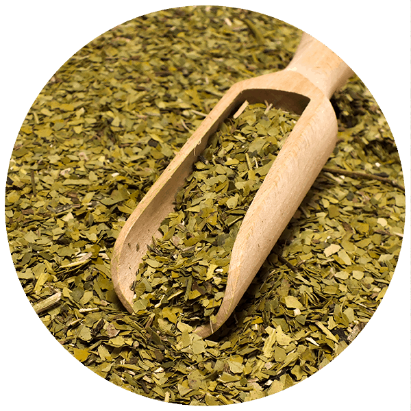 Yerbera – Puszka z Verde Mate Green Organica 0,5kg