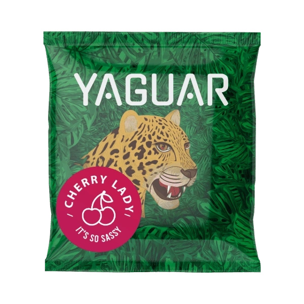 Zestaw Yerba Mate: próbki Yaguar 10x50g + Matero + Bombilla