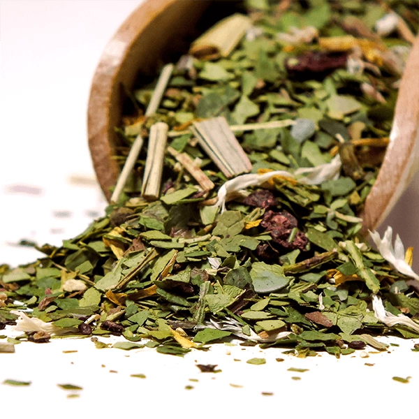 Składniki Verde Mate Green Fuerte
