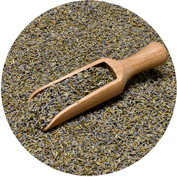 Mary Rose – Lawenda 25 g – kwiat lawendy (ekologiczna)