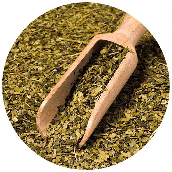 Yerbera – Puszka z Verde Mate Green Despalada 0,5kg 