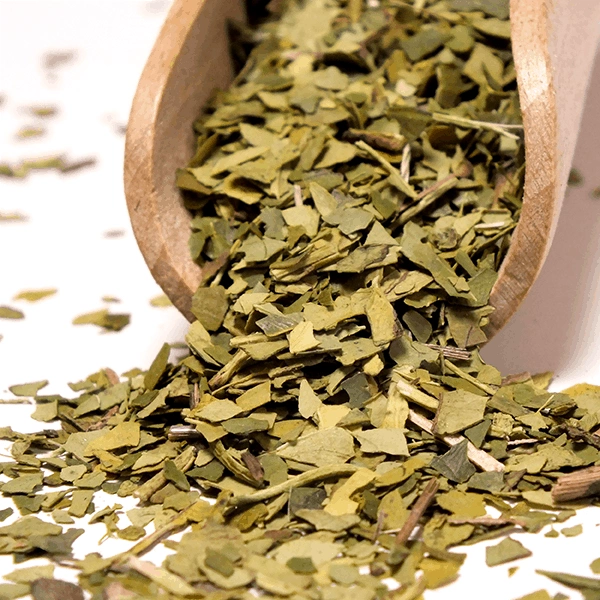 Skład Verde Mate Green Despalada
