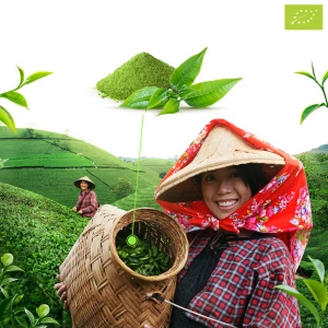 Mary Rose – Matcha Latte (BIO) 30 g