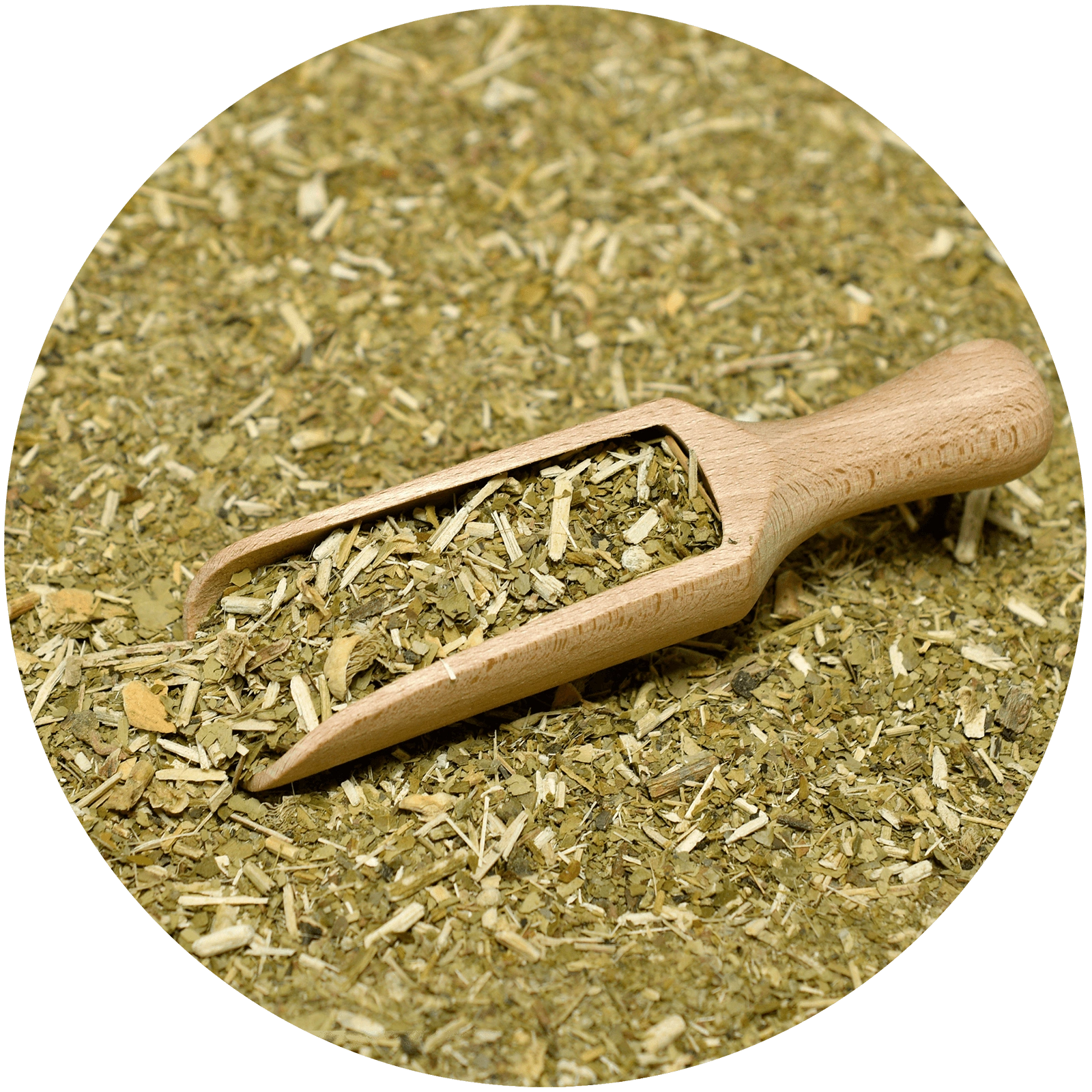 Guarani Ashwagandha Cactus - Detal suszu