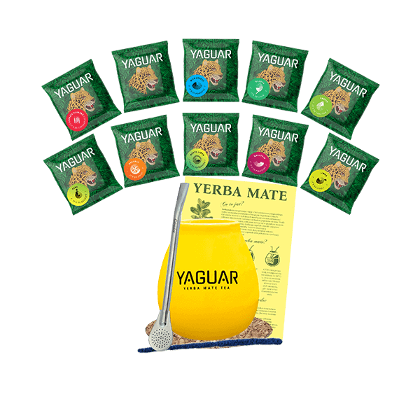 Zestaw startowy Yerba Mate tykwa Yaguar 10x50g